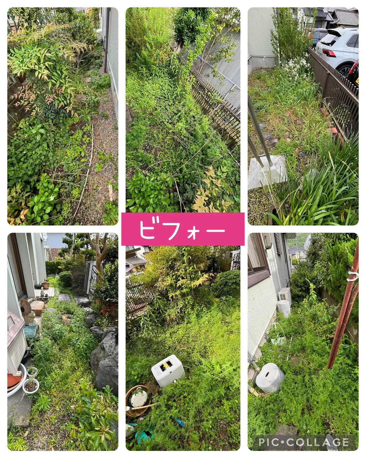 今日は岐阜市で草むしりと不用品回収して来ました。