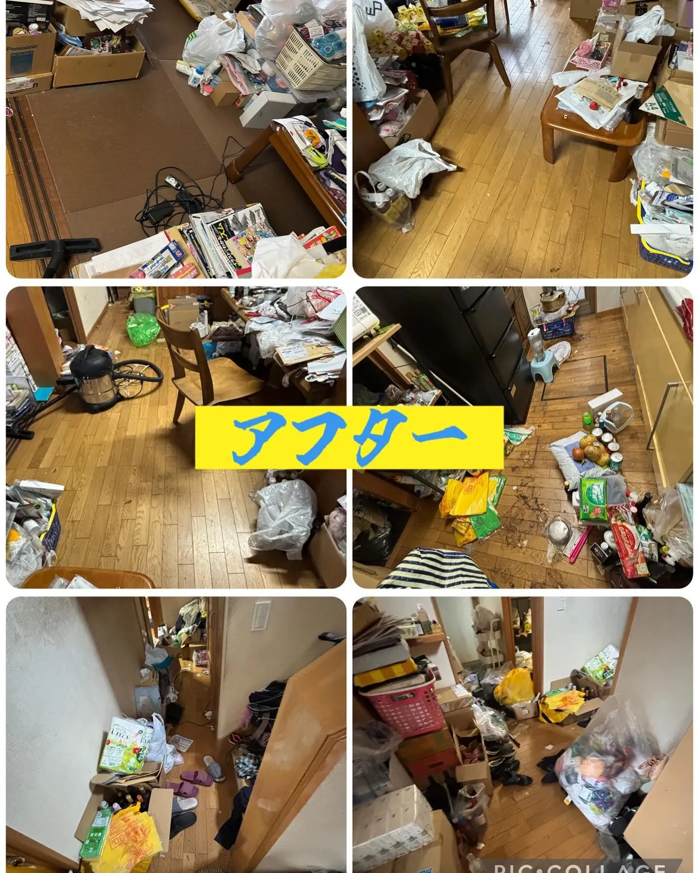 今日はゴミ屋敷の第二弾！