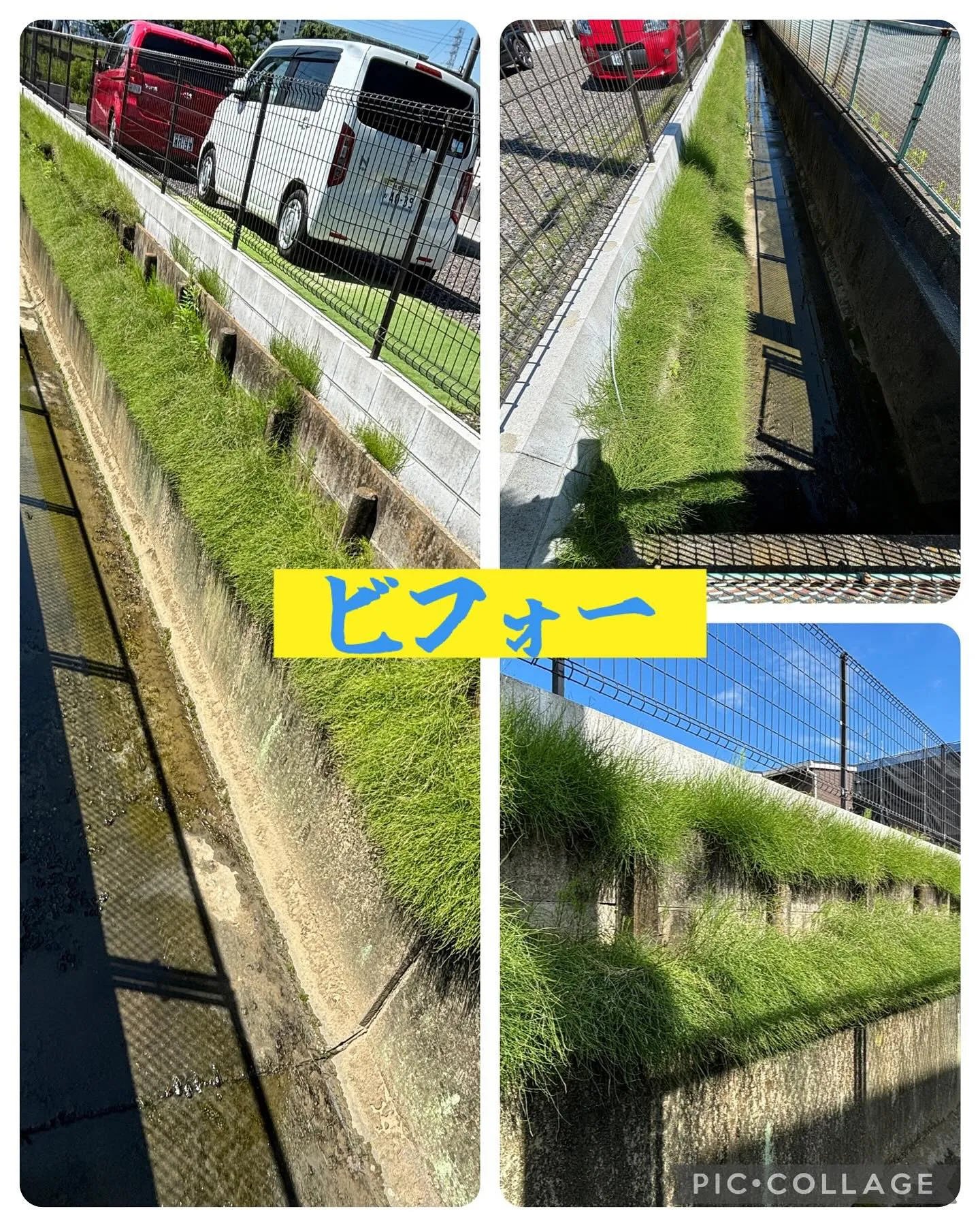 今日は岐阜市の保育園で草むしり、岩倉市で草刈り、伐採して来ま...