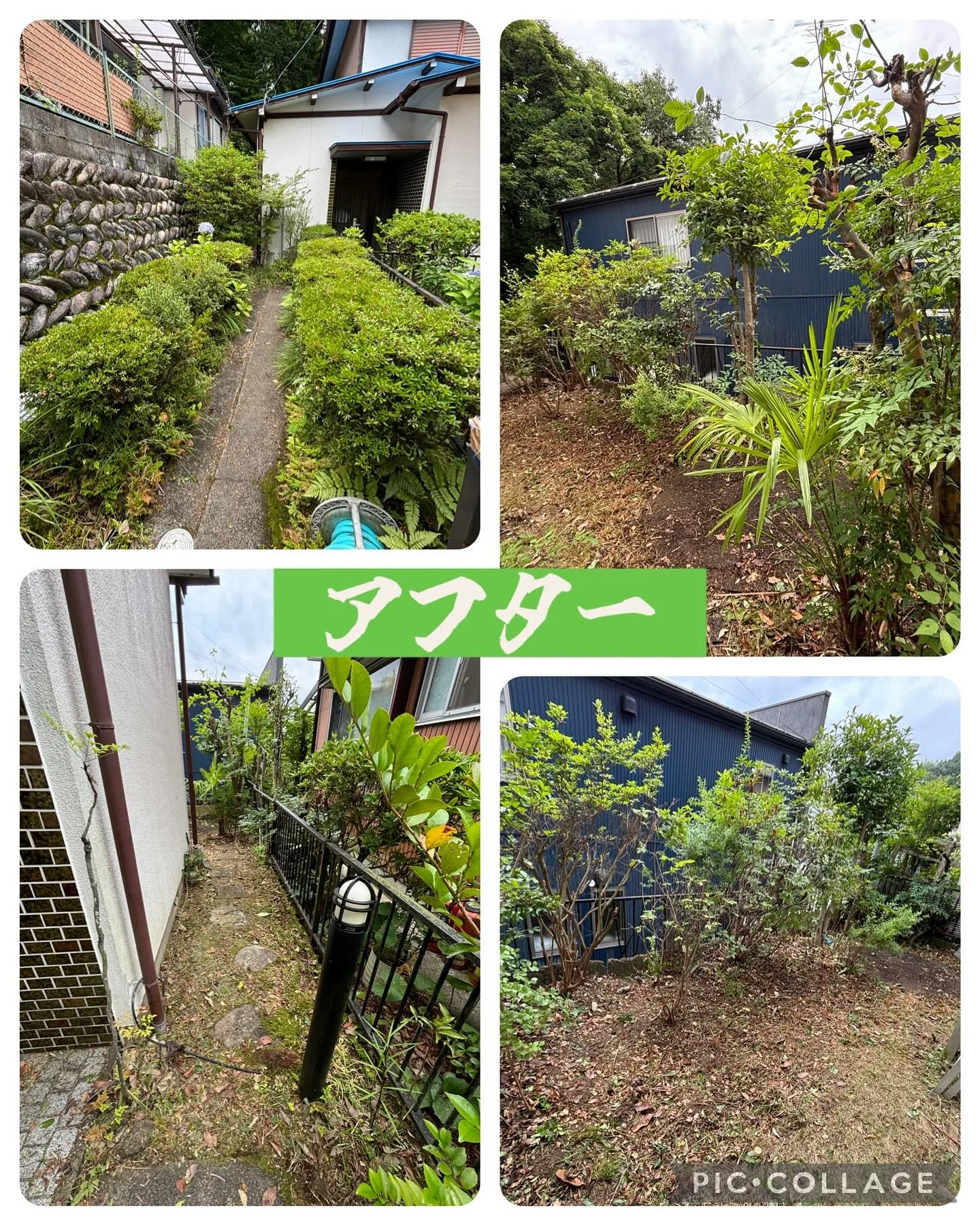 今日は岐阜市日野東で草刈り・剪定して午後から岐阜市茜部で不用...