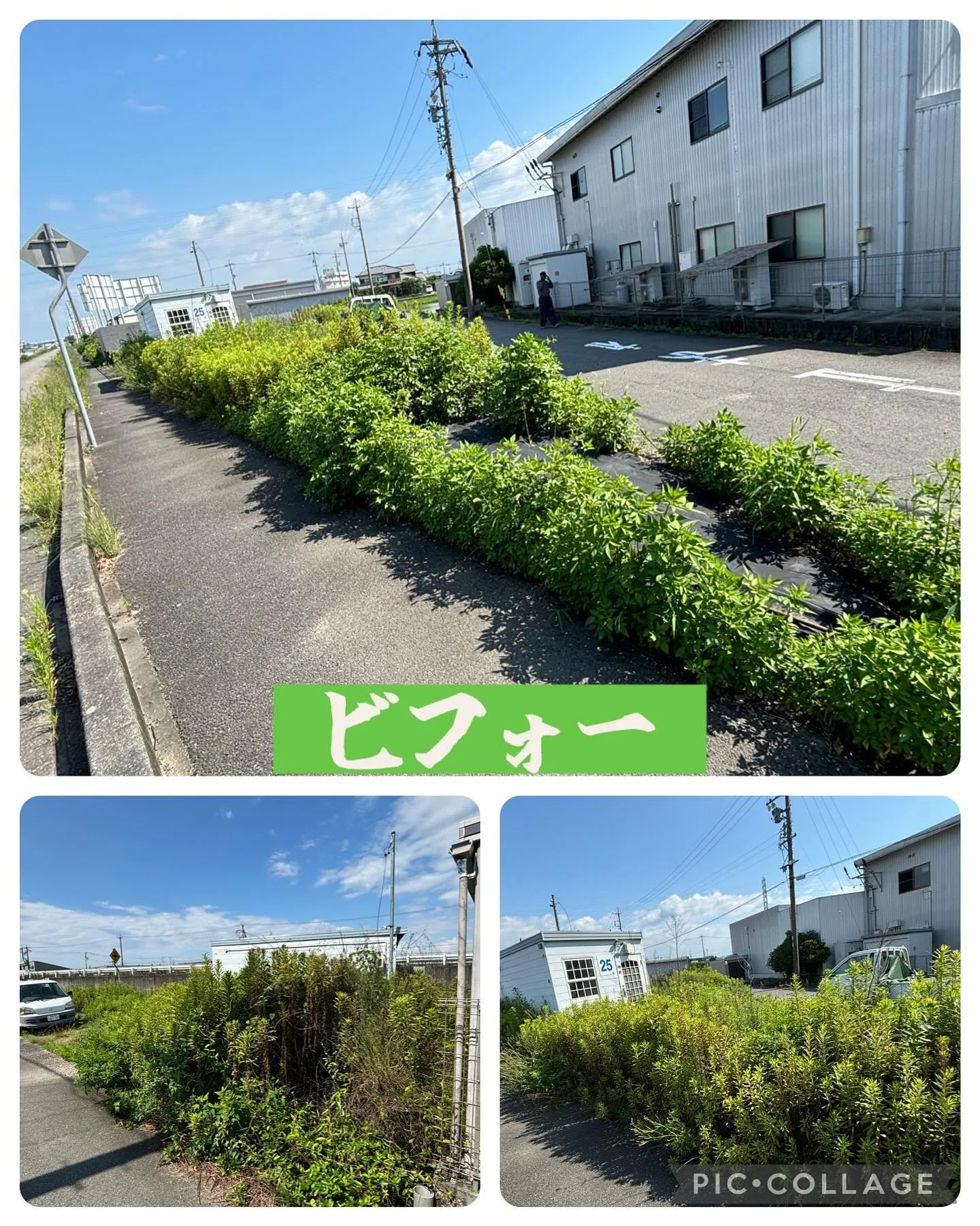 今日は一宮市で草刈りして来ました。