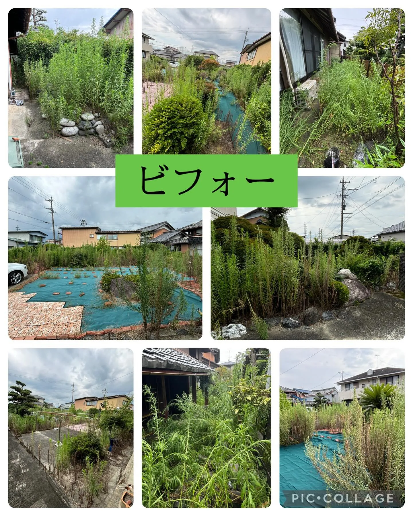 昨日は安八郡神戸町で草刈りしました。