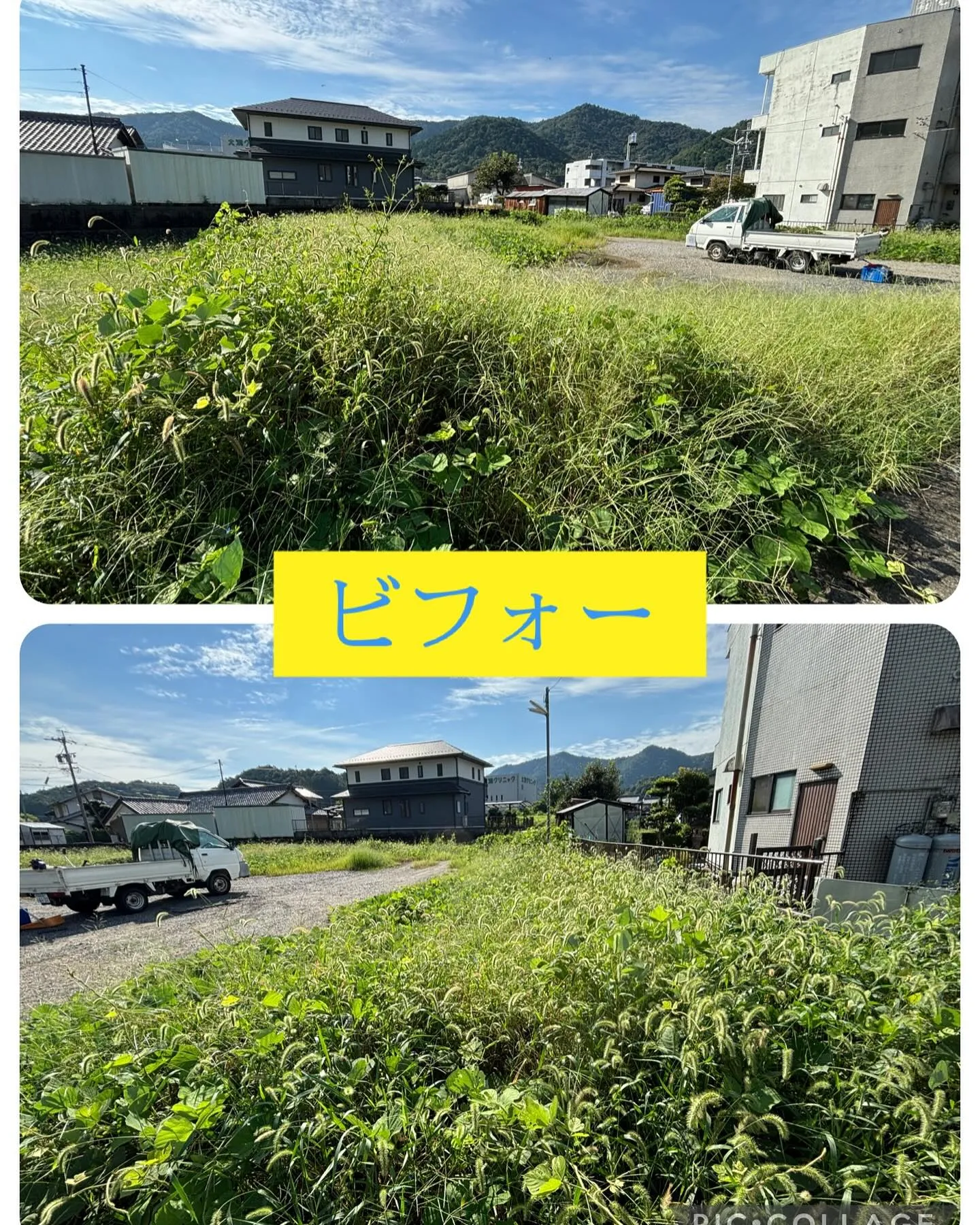 今日は去年からのリピート予約の草刈り！