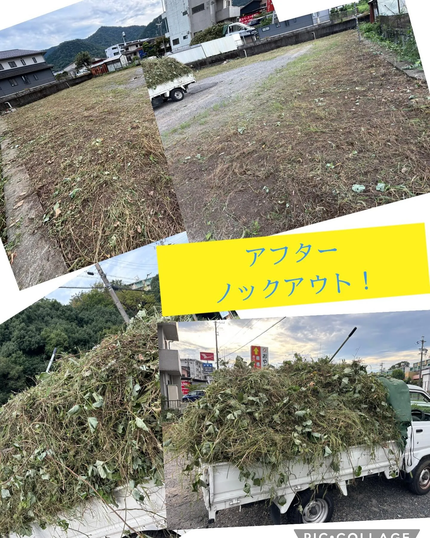 今日は去年からのリピート予約の草刈り！