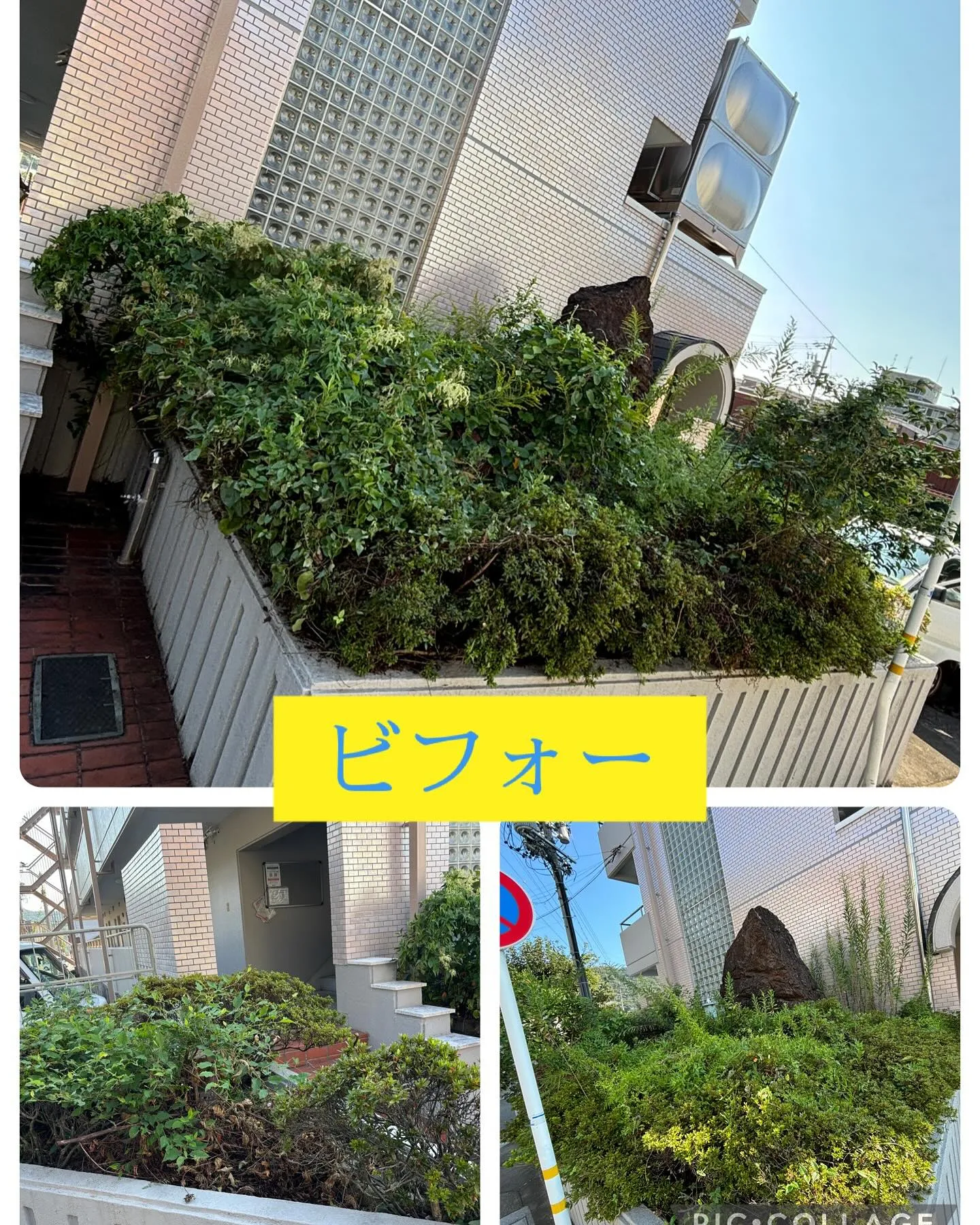 岐阜市のマンションの花壇の草むしり。