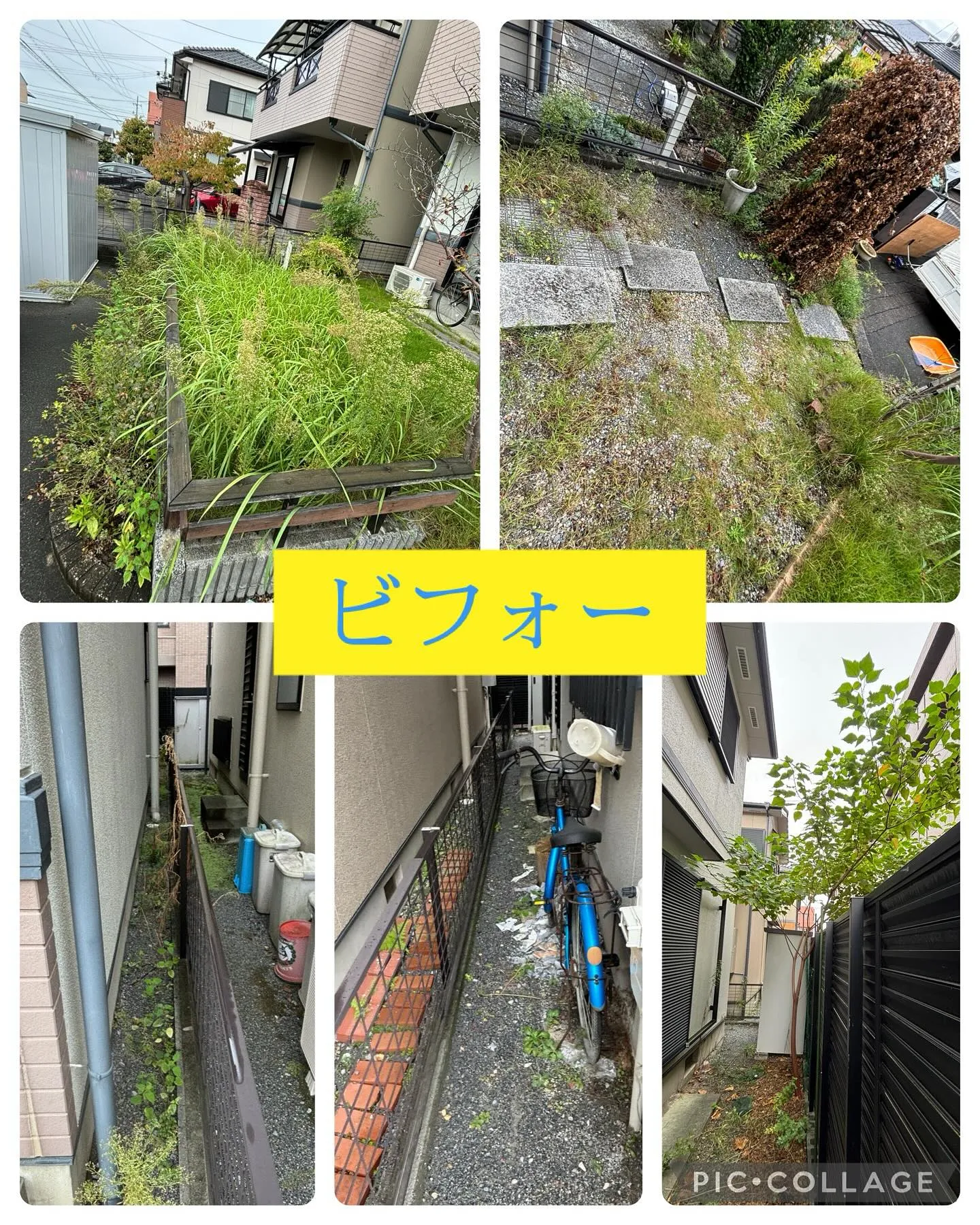 今日も朝から草刈り・草むしりです。