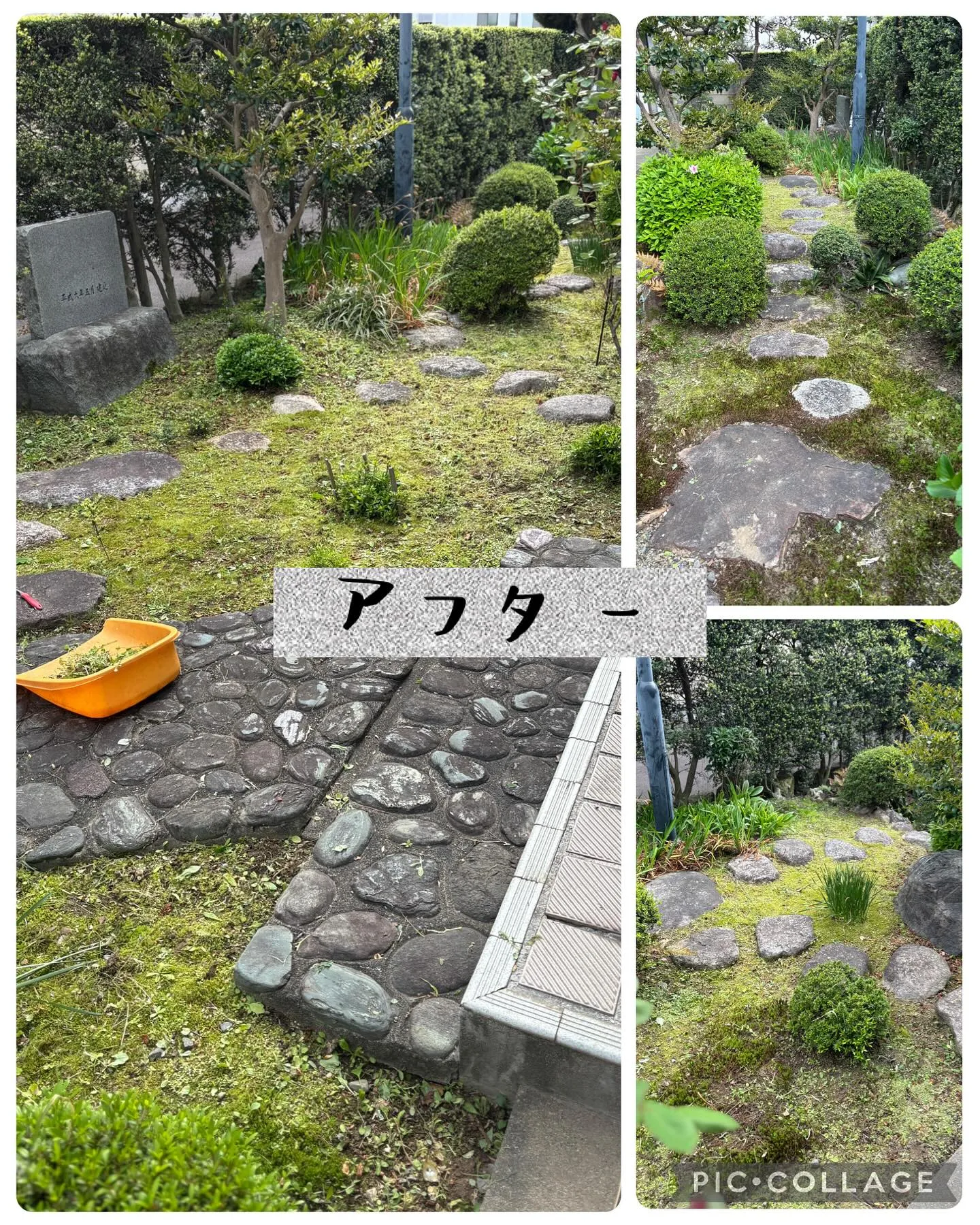 今年も濃尾震災紀念堂の草むしりのご依頼頂きました。