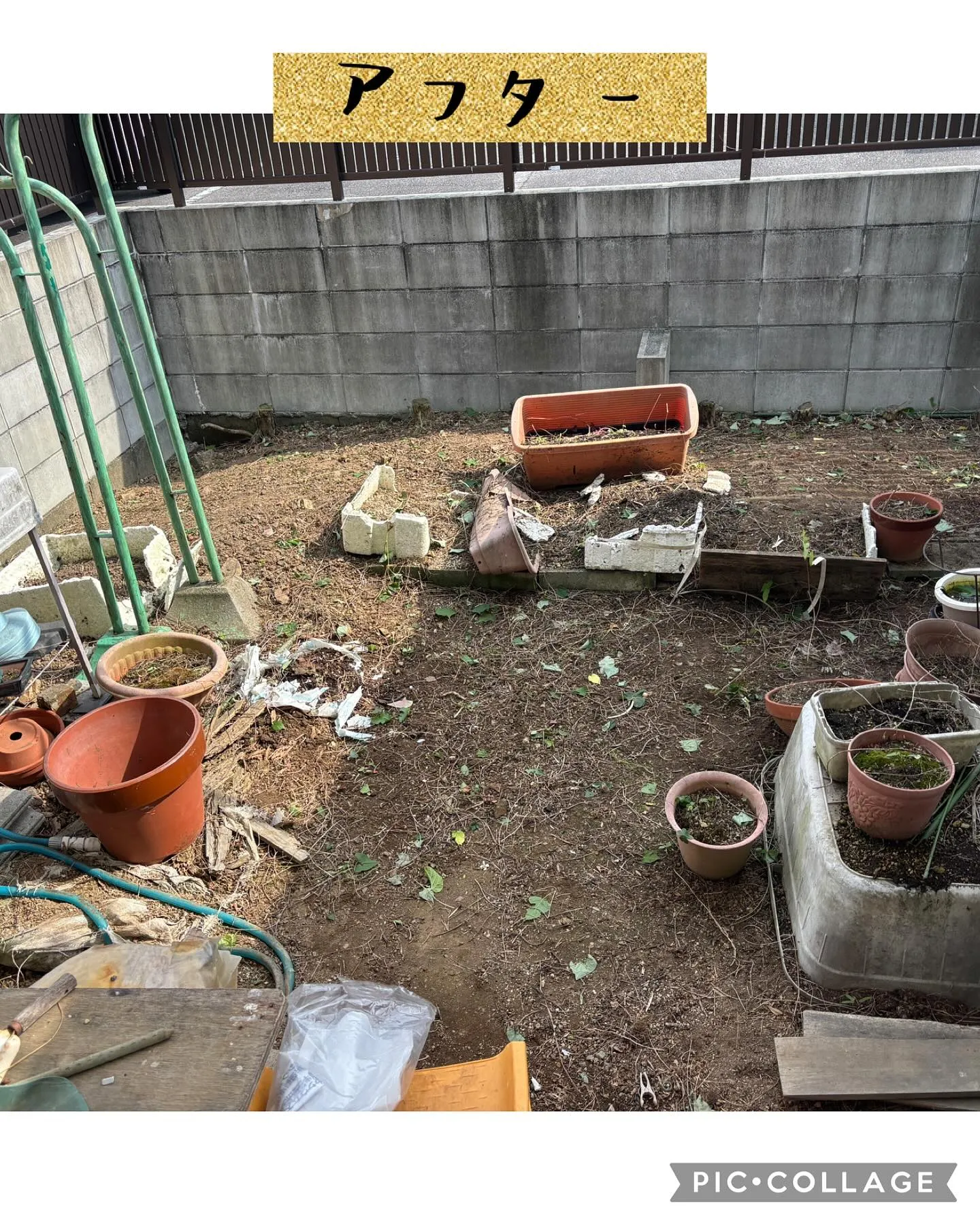 今日は朝から町内会の清掃代理出席、果実落下防止ネット張り、草...