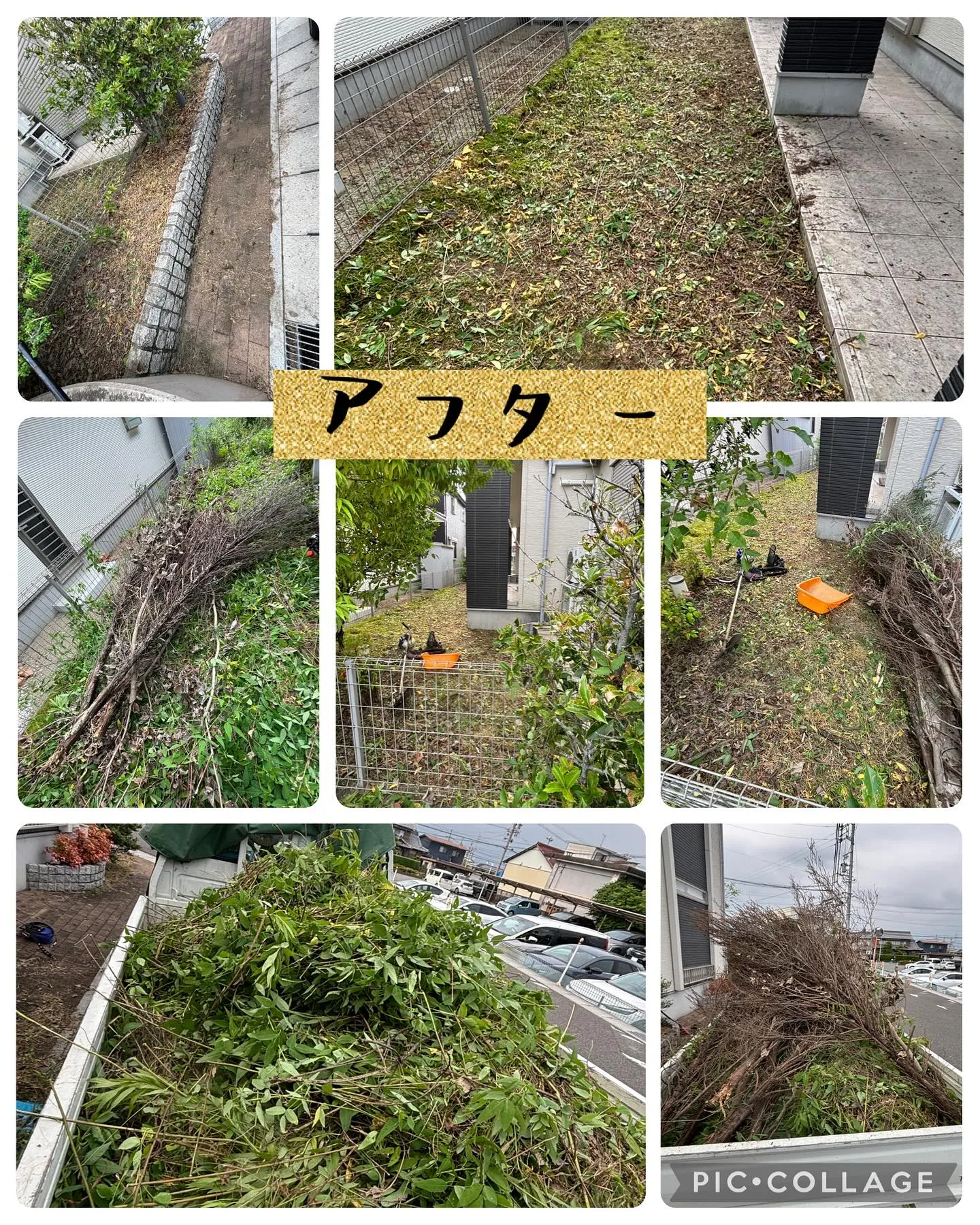 今日は、草むしり・草むしりからの草刈り！