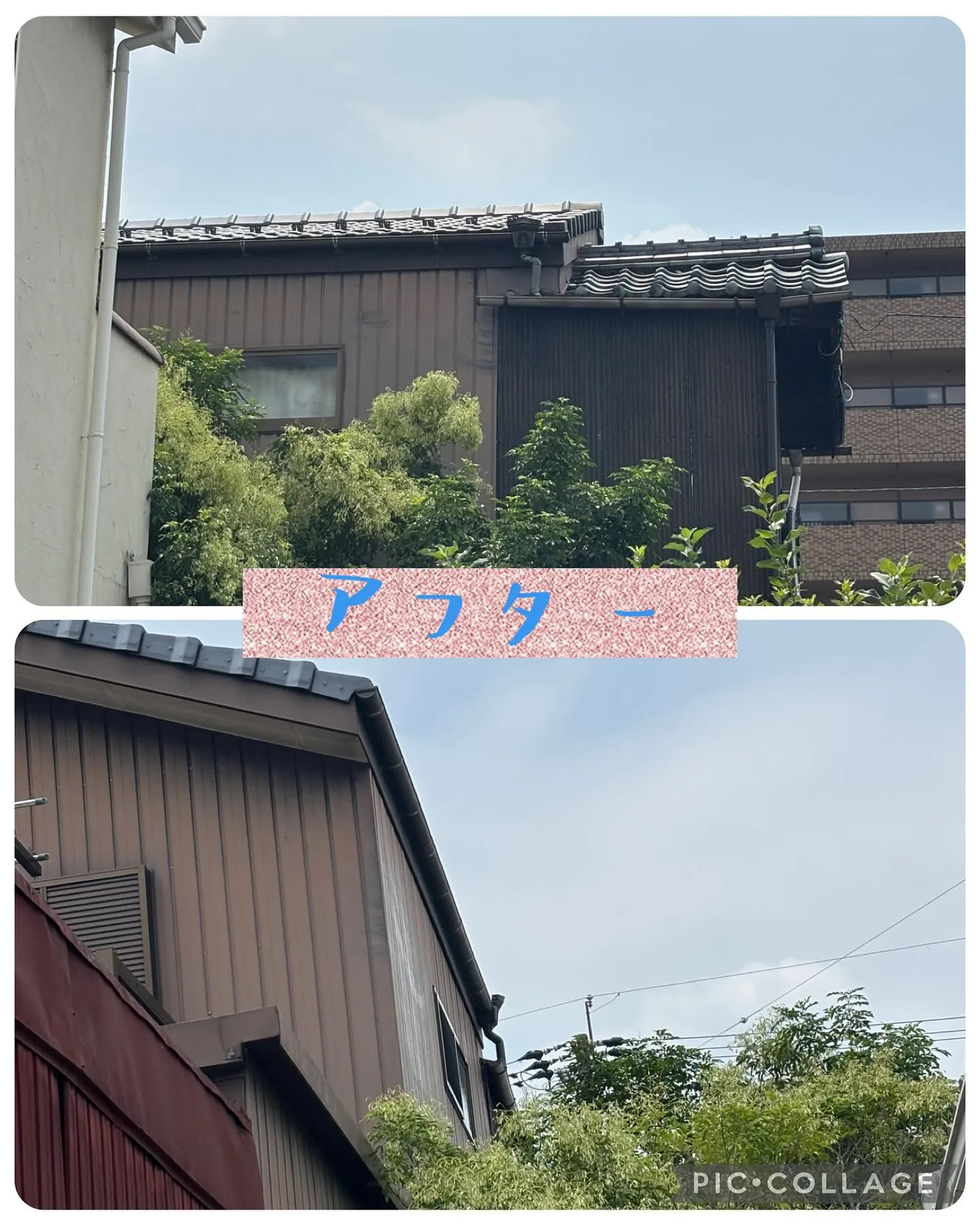 大屋根の雨樋に草が生い茂っているので取って欲しいとの御依頼！