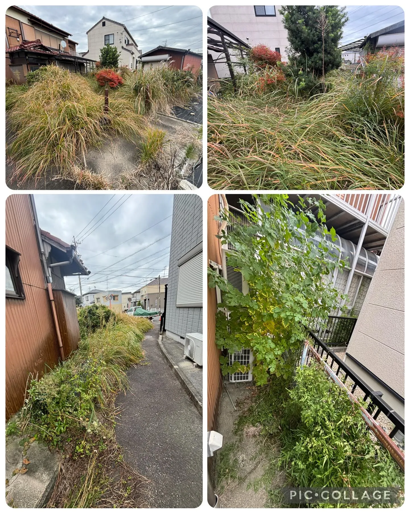 年に2回、春と秋に実家の草刈りのご依頼頂いて居るお宅に草刈り...