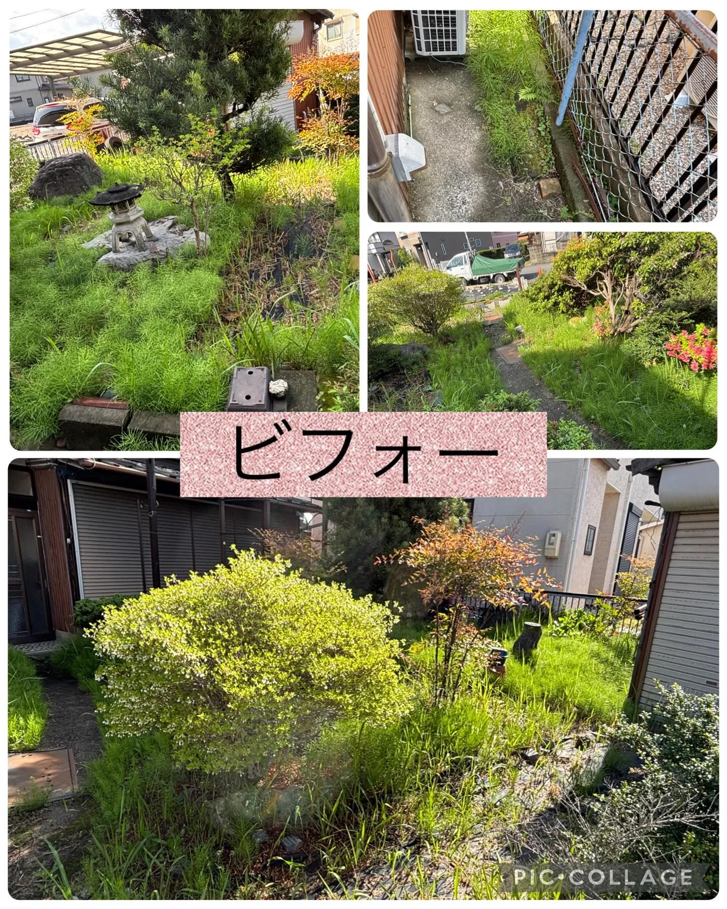 草刈りシーズン到来❗️