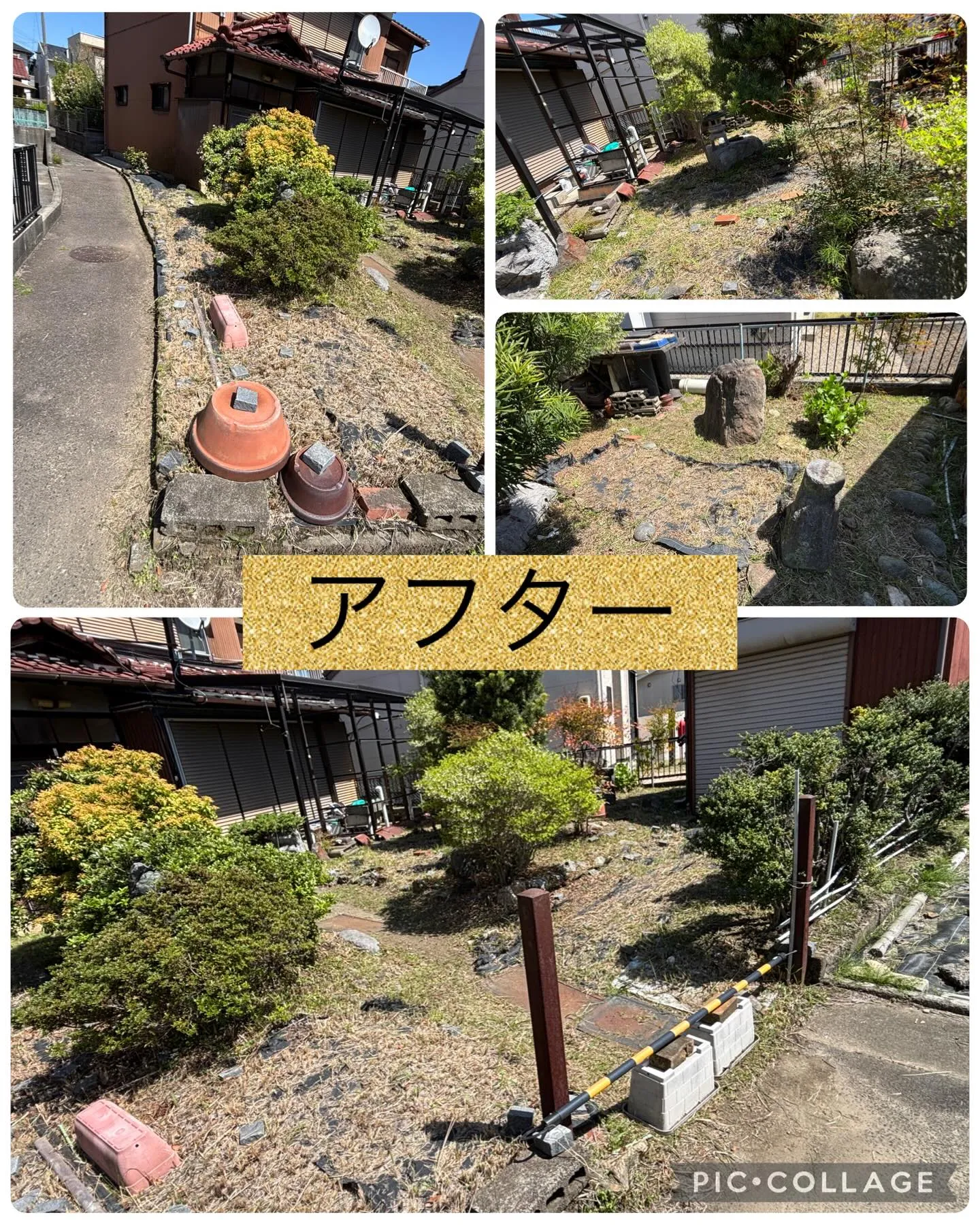 草刈りシーズン到来❗️