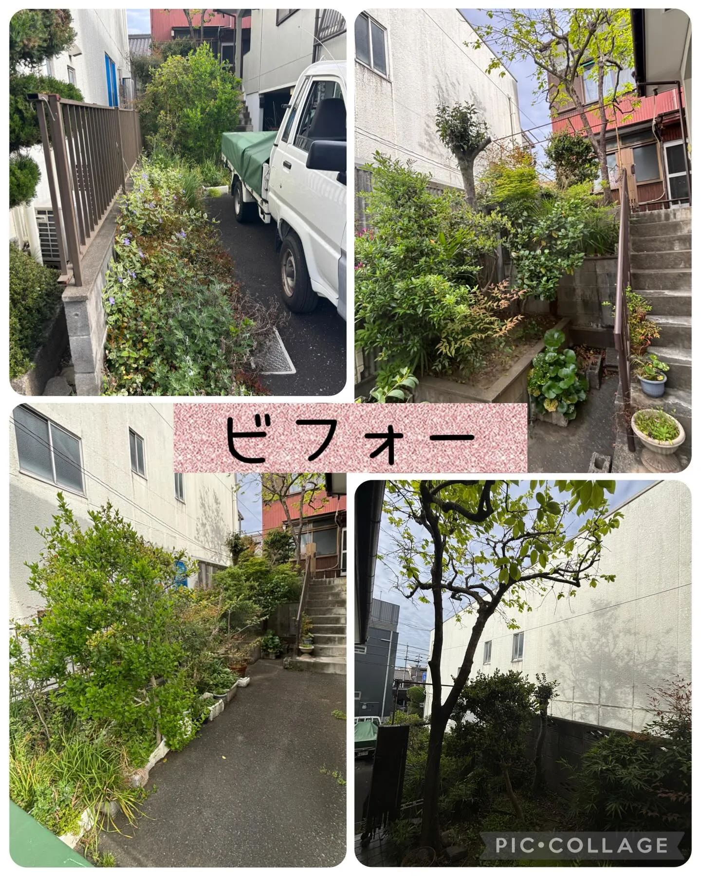 庭木やプランターで育てていた植物を全て無くして欲しい！