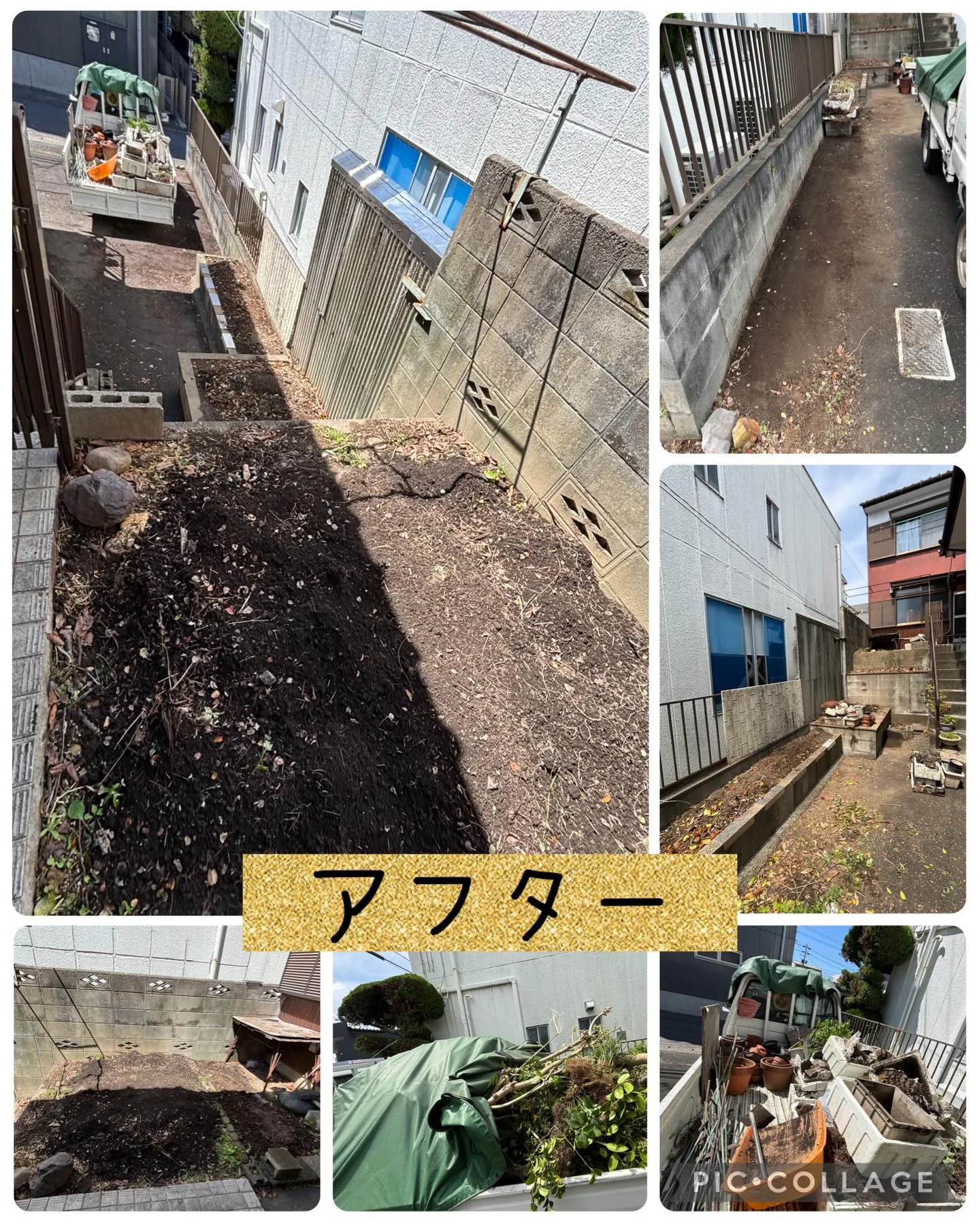 庭木やプランターで育てていた植物を全て無くして欲しい！