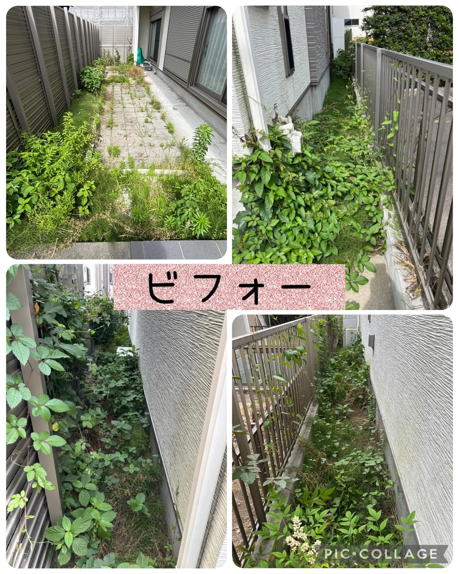 草刈りシーズン到来❗️