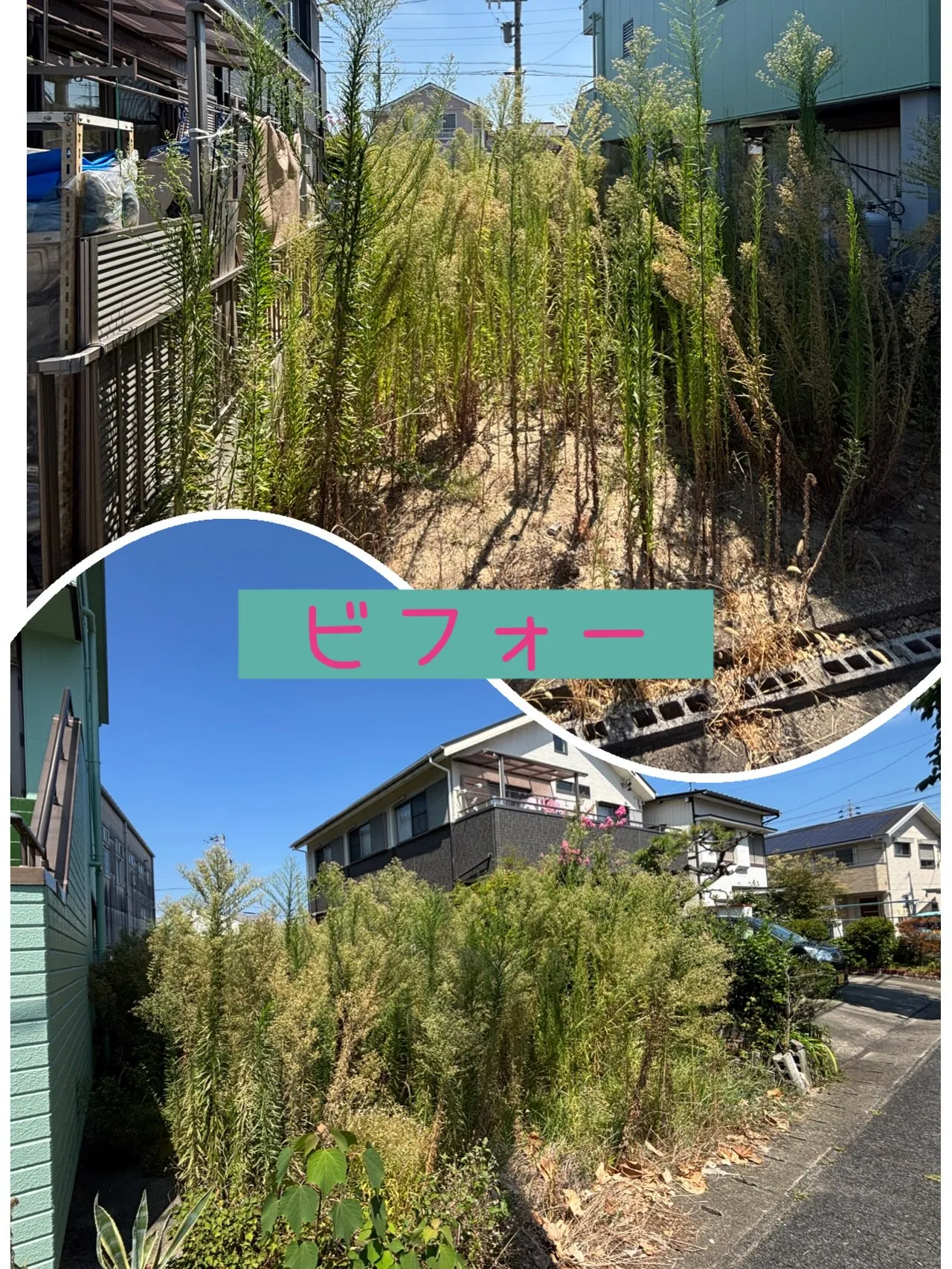 更地の草刈り&防草シート張り！
