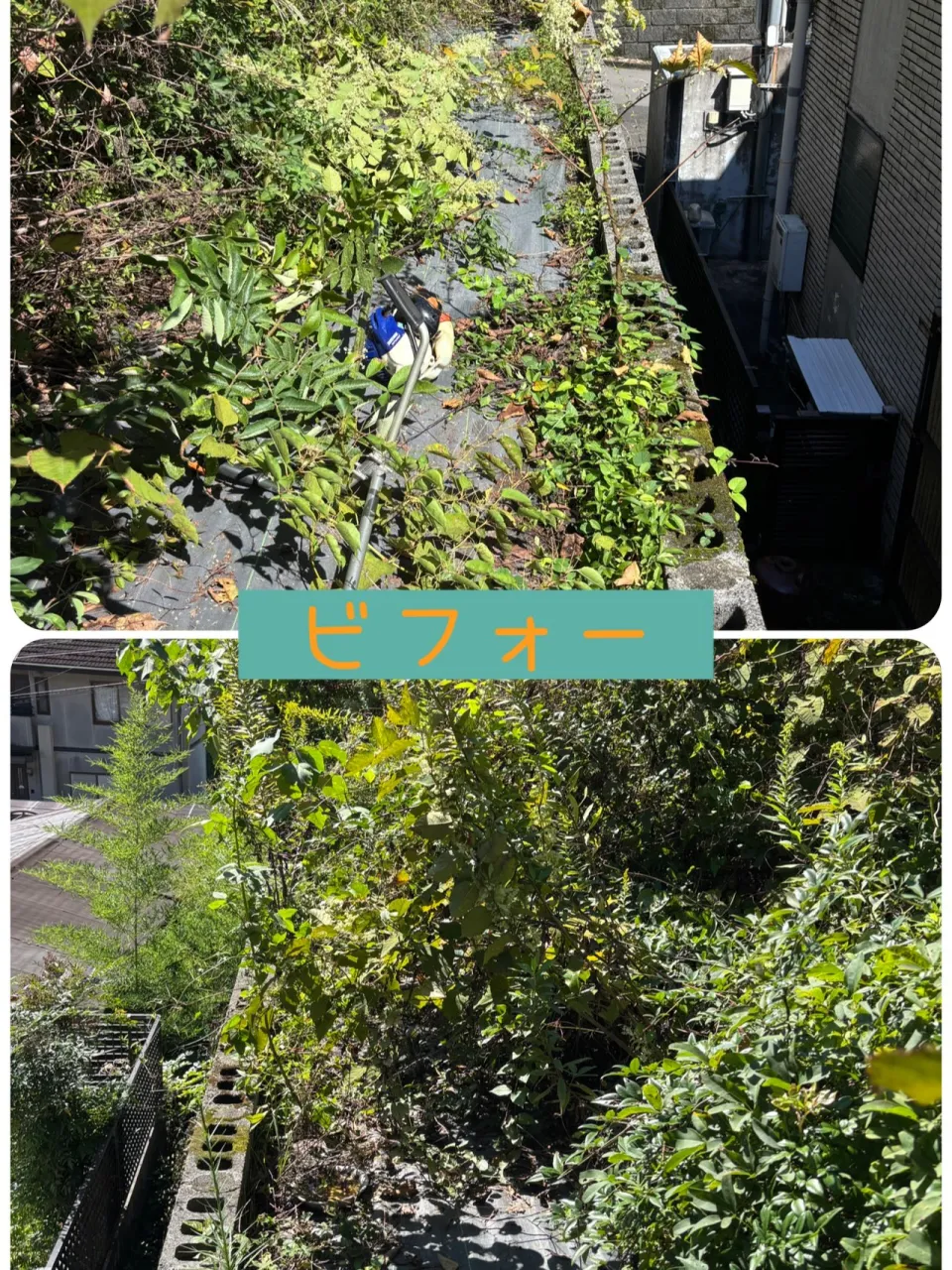 草刈りのご依頼が増える時期になってきました♪