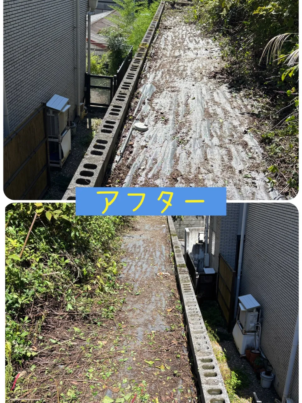 草刈りのご依頼が増える時期になってきました♪
