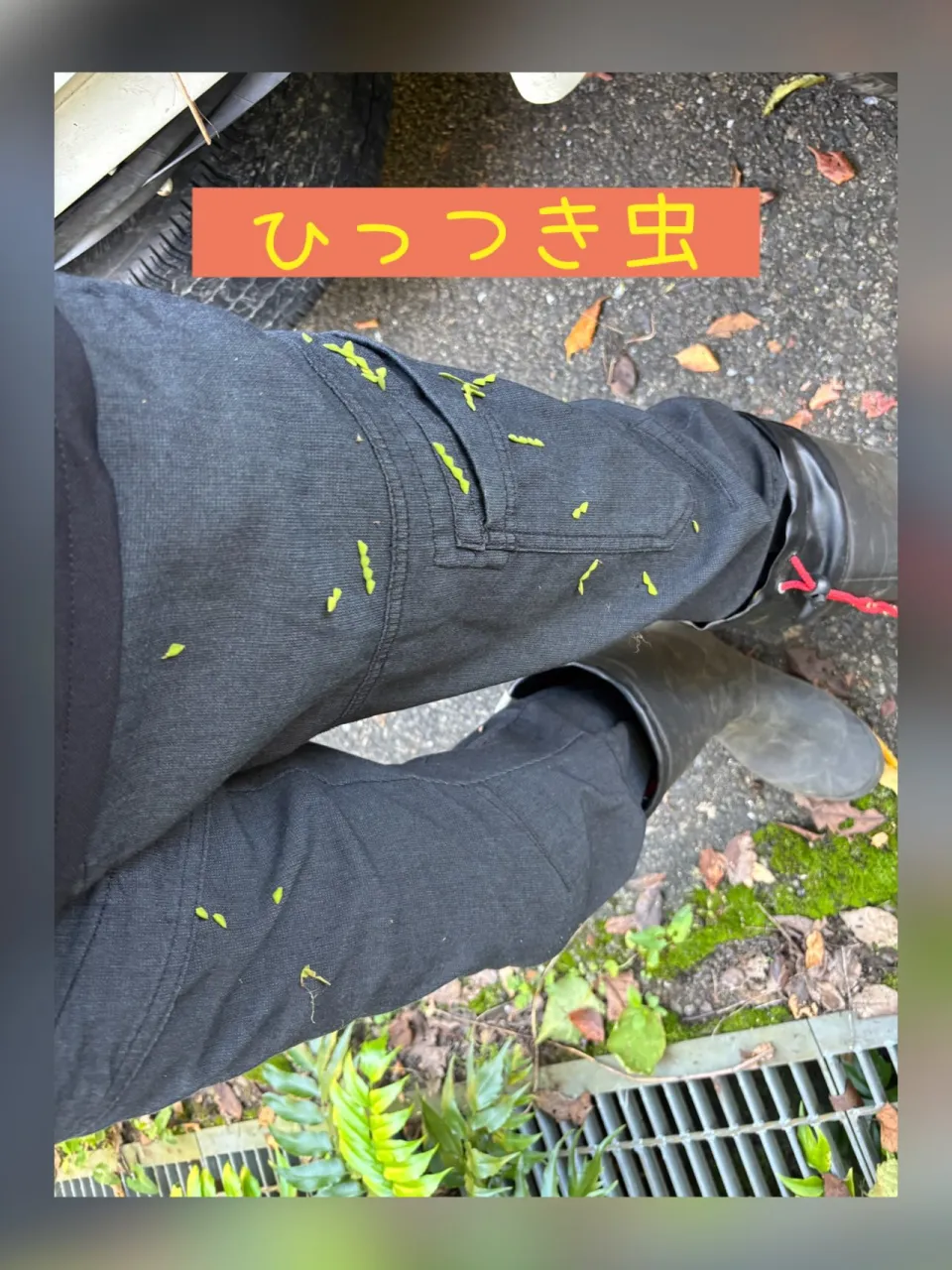 草刈りのご依頼が増える時期になってきました♪