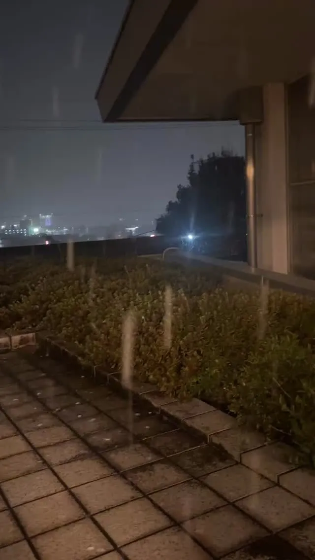 冬本番でしね！
